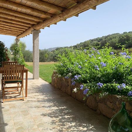 Macciuneddu Country Retreat Golfo Aranci Exterior foto